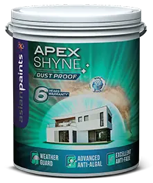 Asian Paints Apex Shyne Dust Proof